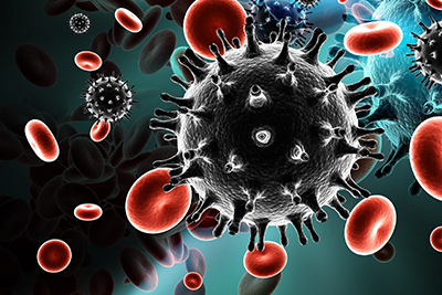 মশা ও HIV Virus