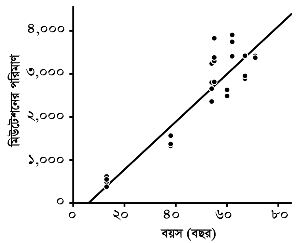 বুড়ো জীবনের যতো সমস্যা