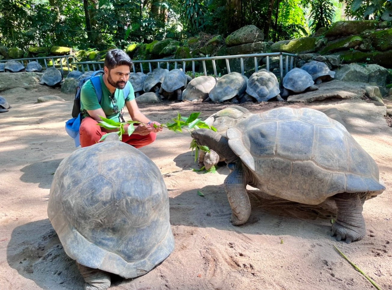 ধীর গতির সেঞ্চুরিয়ান