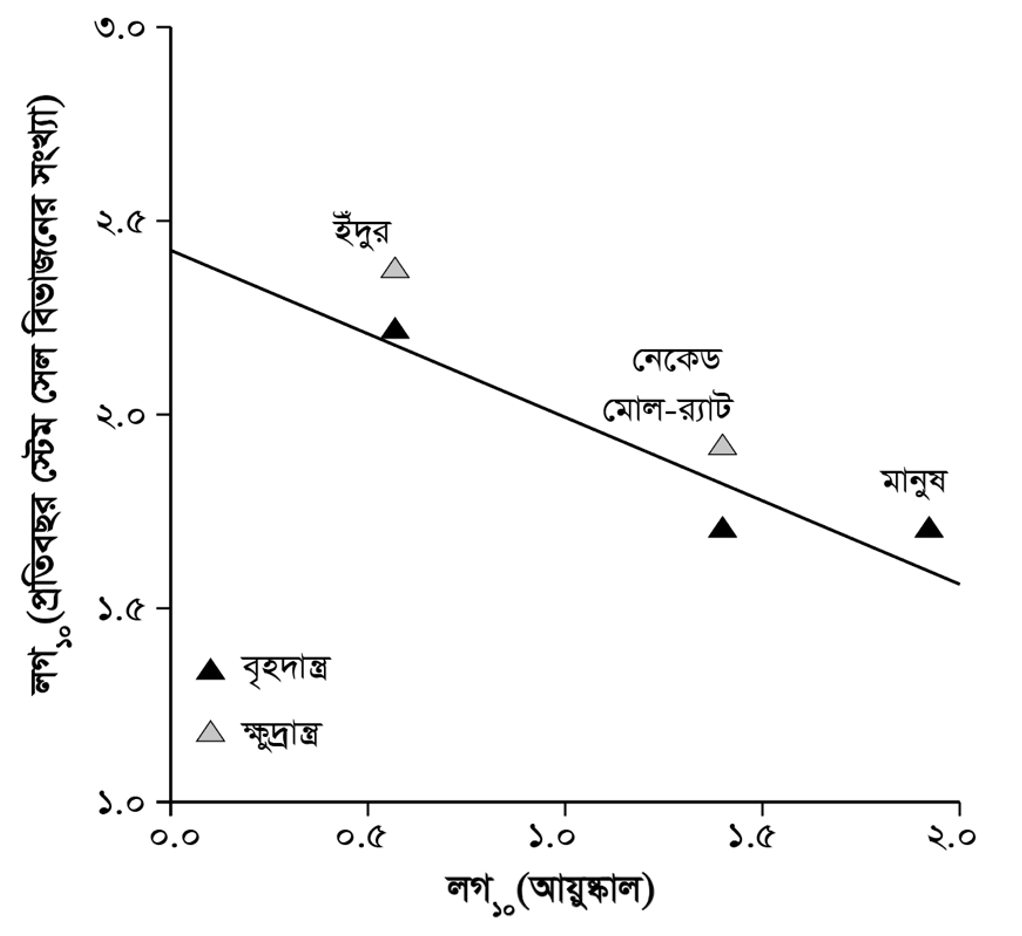 প্রকৃতির মাঝে অমরত্বের সন্ধান